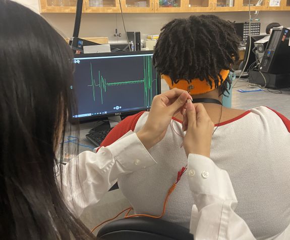 Bioengineering summer lab