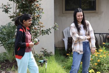 People in the garden