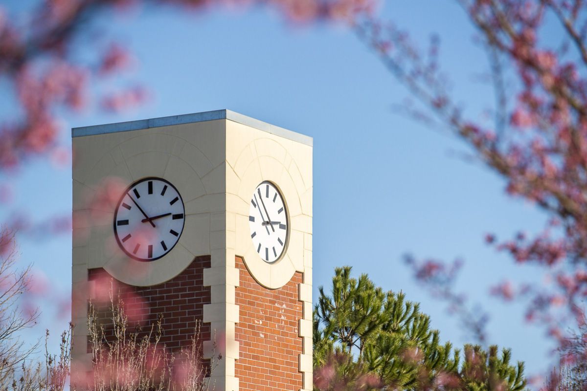 clock tower in spring