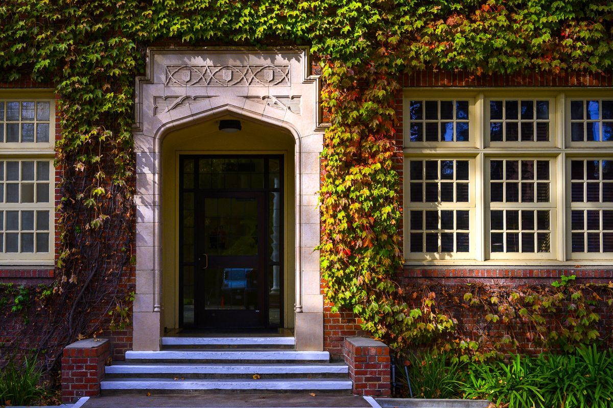 ivy growing on Knoles Hall
