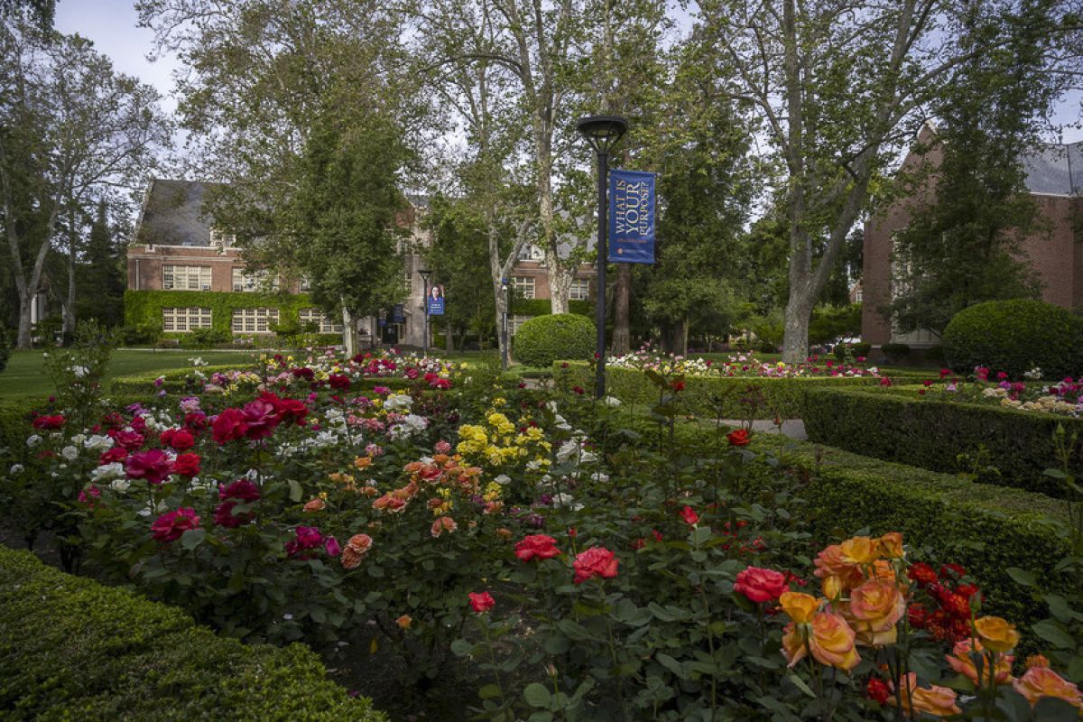Campus Beauty