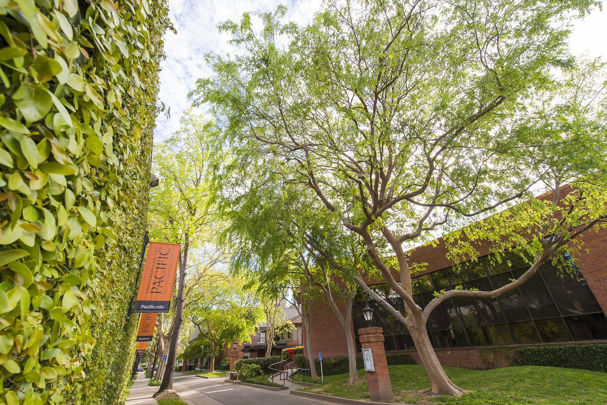 Sacramento Campus