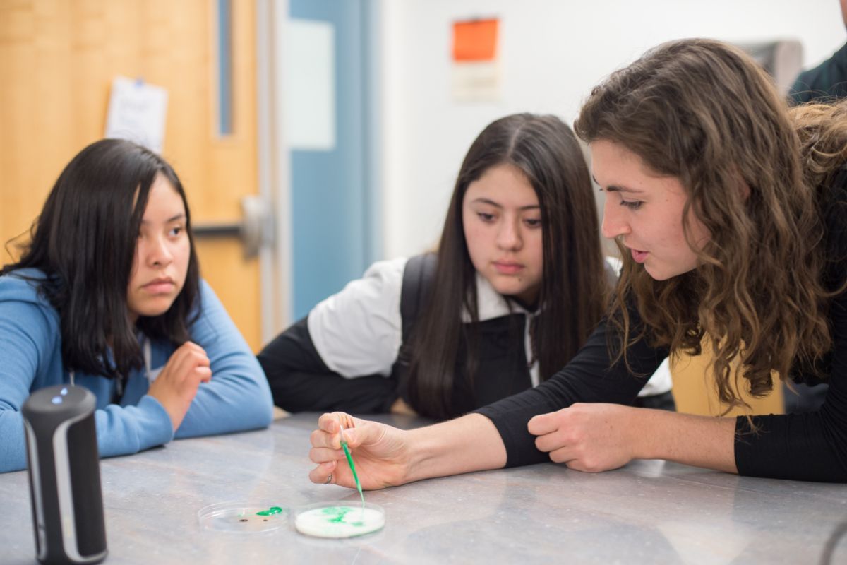 Medical Microbiology