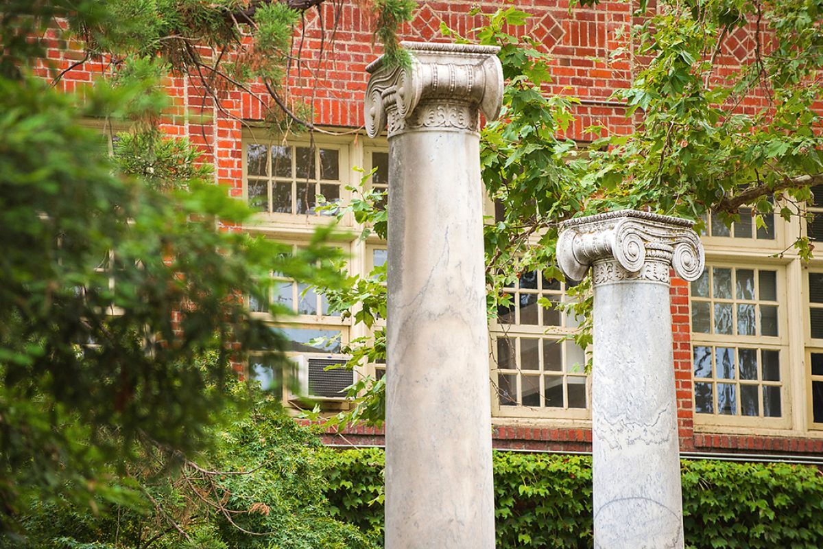 The columns