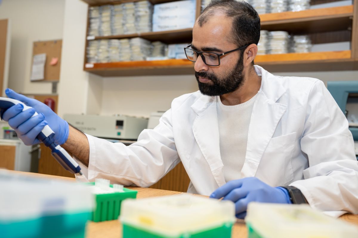 Graduate student conducting research in lab