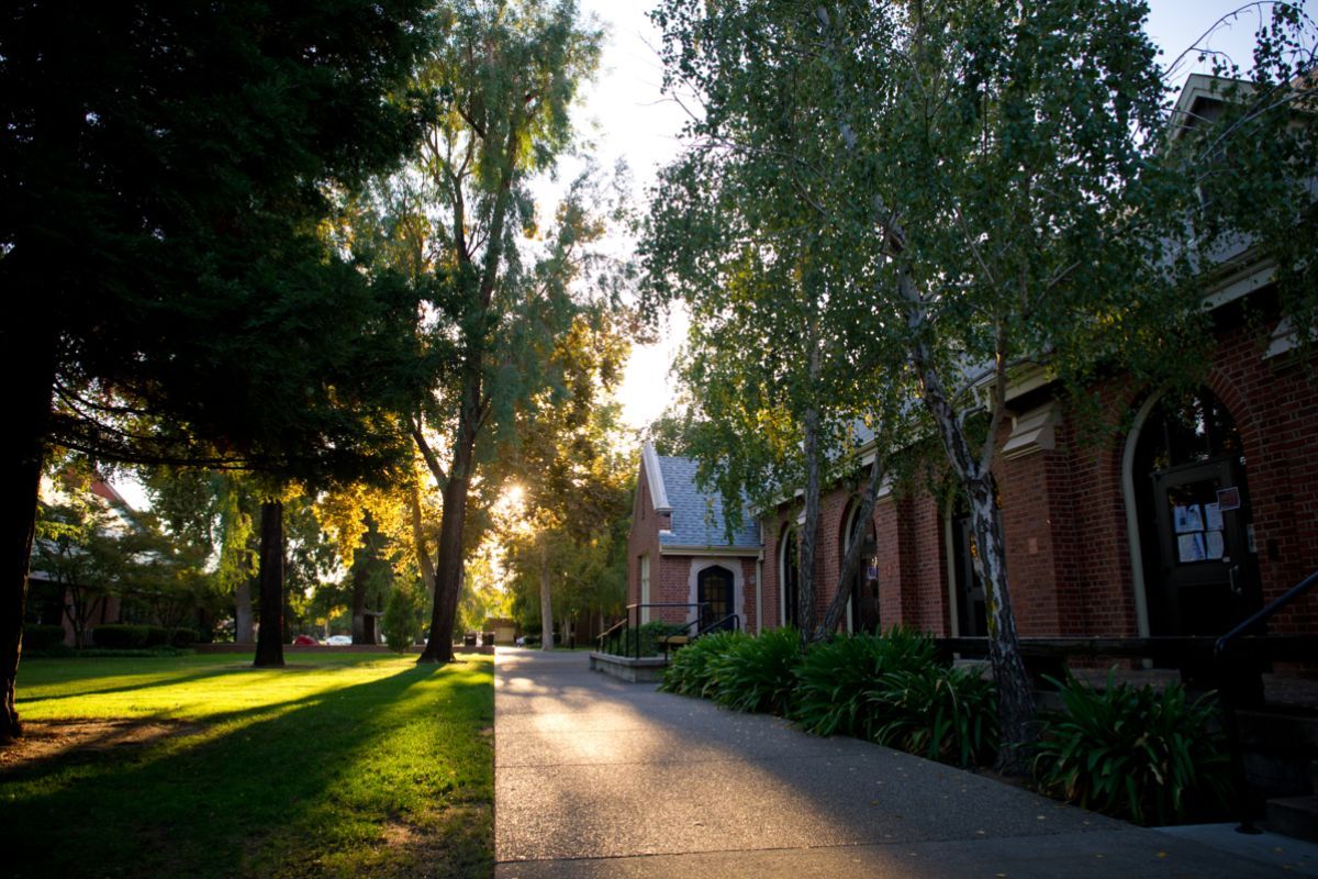 tree-shaded walkway at University of the Pacific
