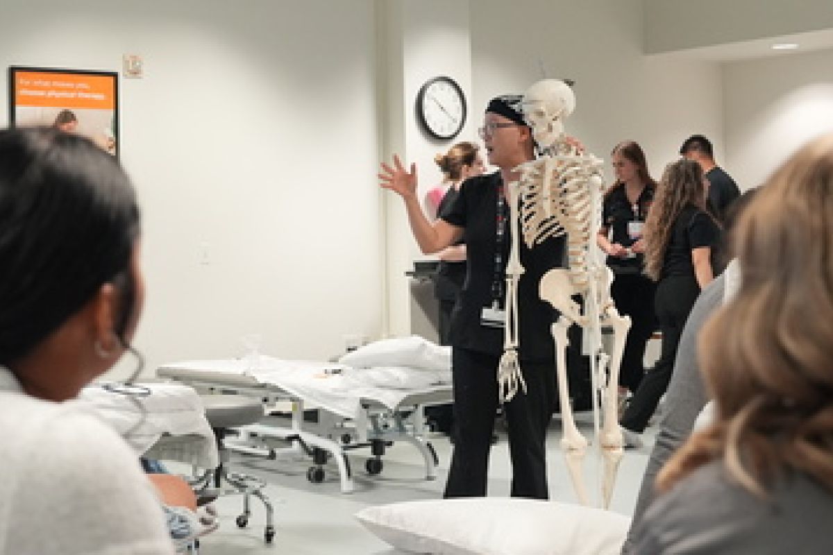 Exploring the Human Body