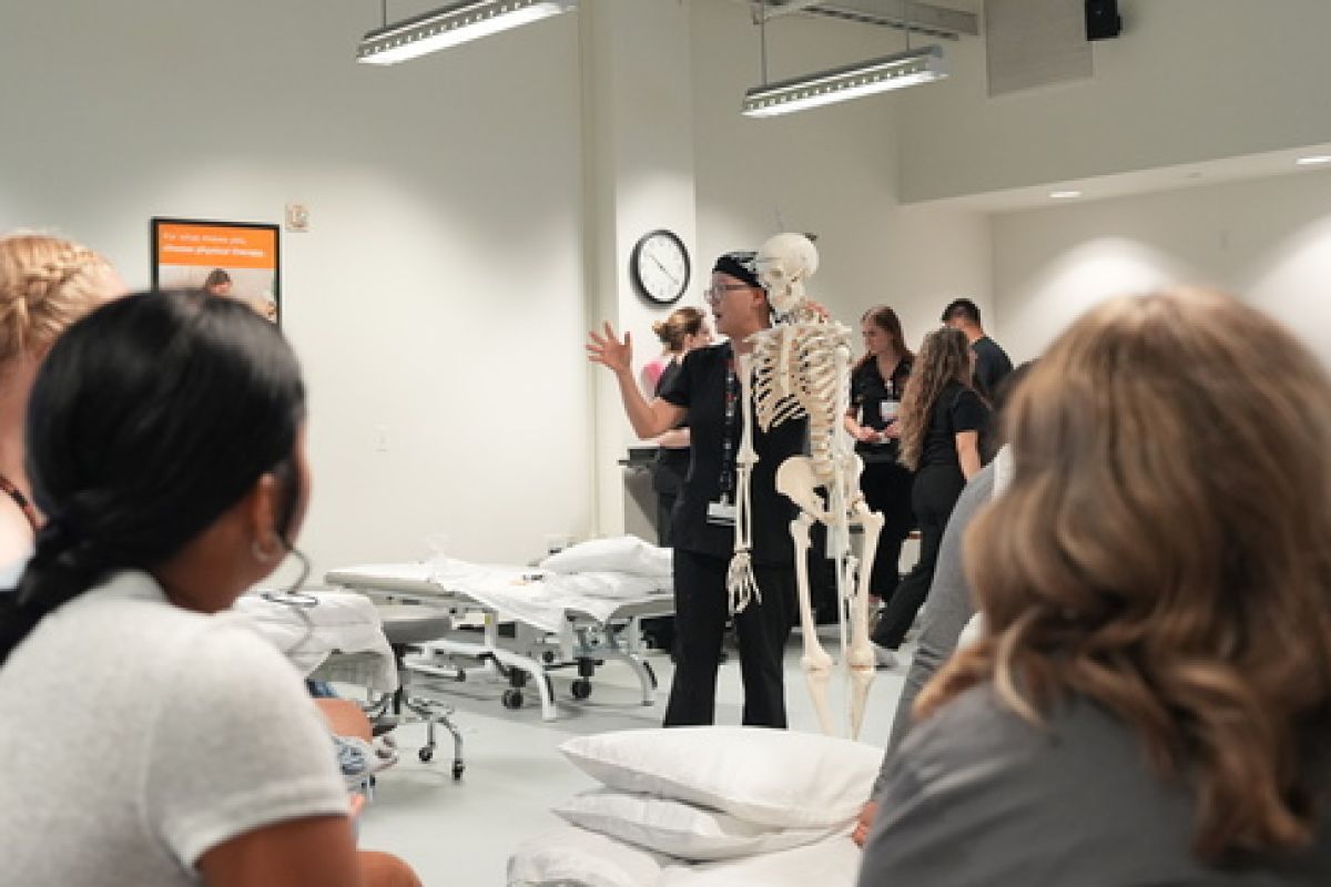 Exploring the Human Body