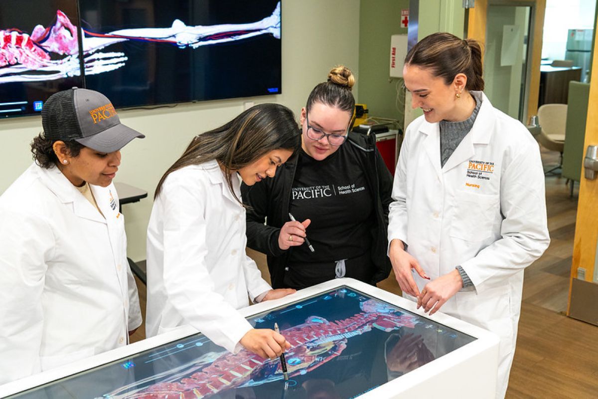 Four students are shown working together on an digital anatomy table