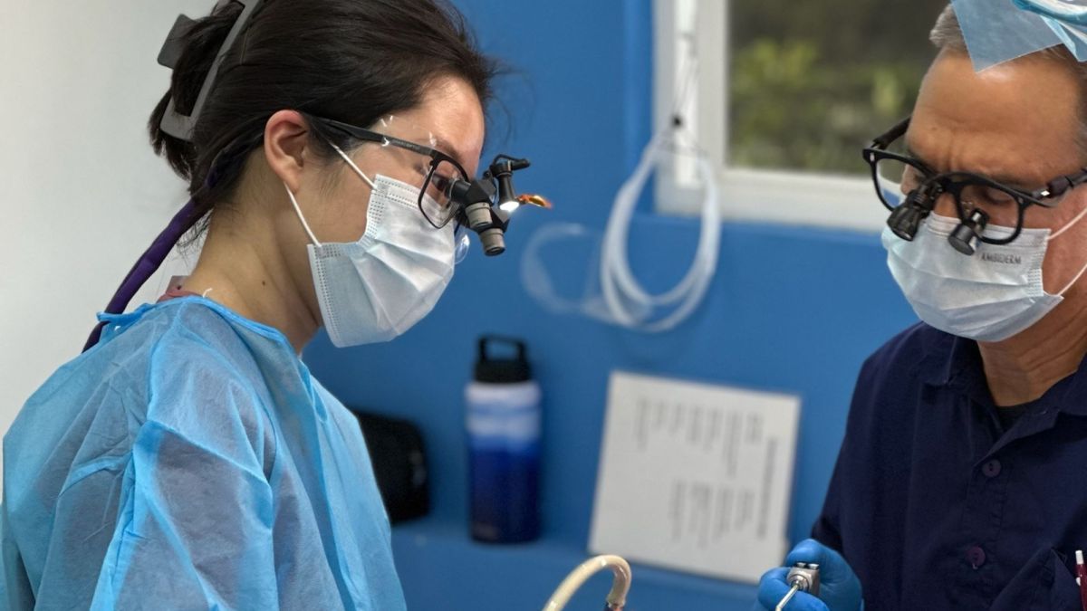 Dental Student