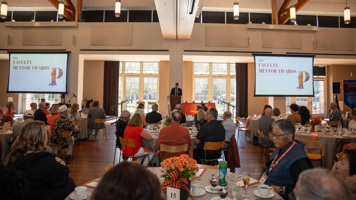 Faculty Mentor Awards 2024