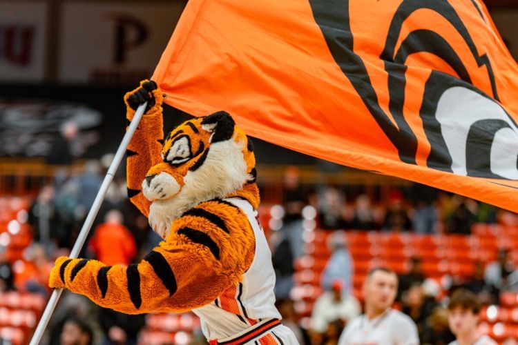 powercat holds a flag
