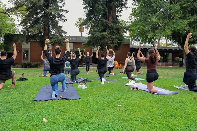 A group of people do yoga on a grassy outdoor field. 