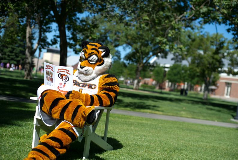Powercat reading