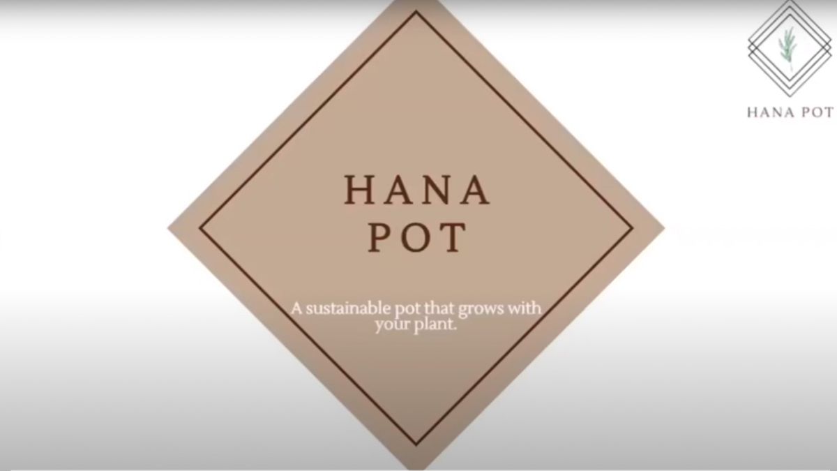 Hana Pot slideshow opening. 