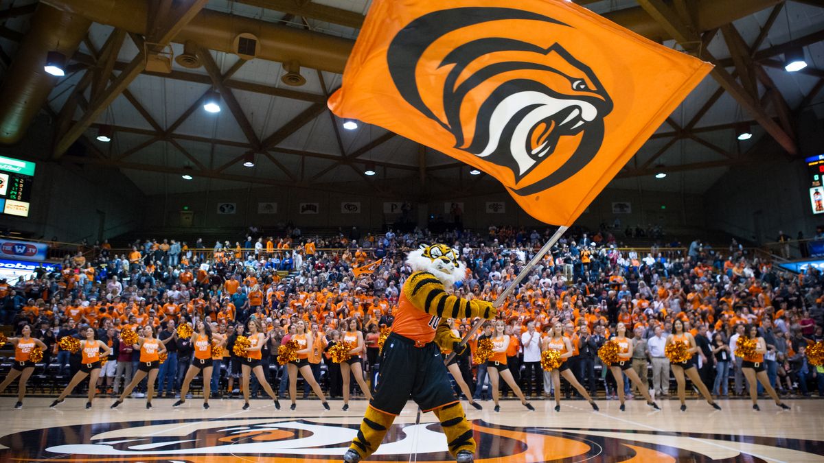 men's basketball