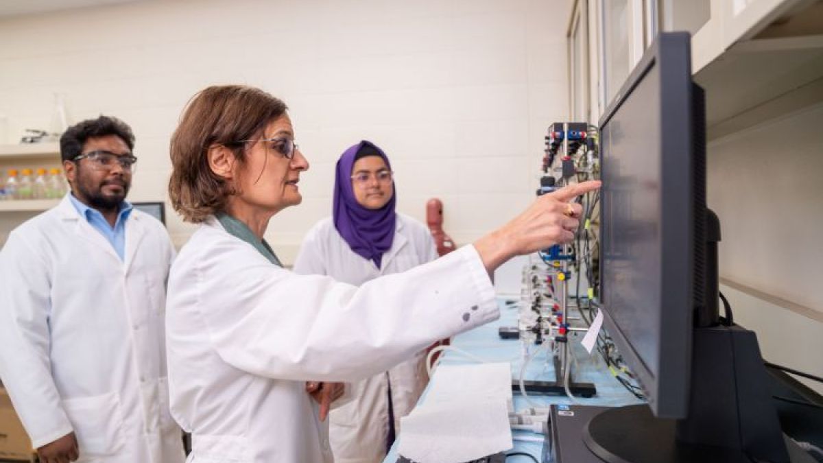 Dr. Roshanak Rahimian and her research assistants in the lab